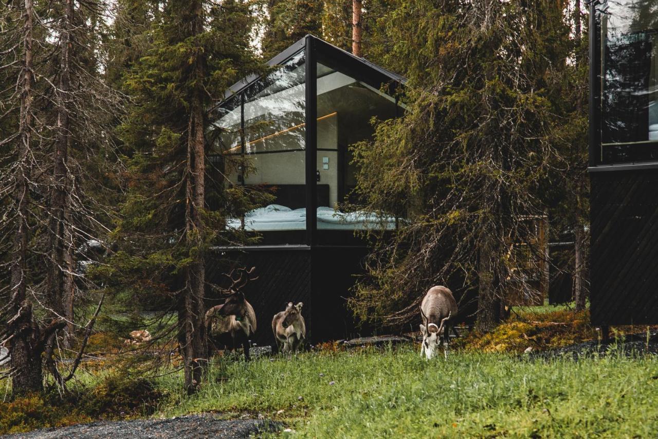 Magical Pond Nature Igloos Ruka Ngoại thất bức ảnh